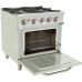 Cocina de gas con 4 fuegos con controlador y horno termostático 