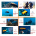  GZZG Robot Submarino no tripulado 150M Detector de Agua Profunda 4K Cámara de Buceo Búsqueda de Buceo y Rescate Robot Inteligente Submarino (Color : Orange) 